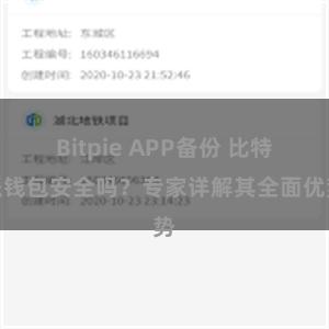 Bitpie APP备份 比特派钱包安全吗？专家详解其全面优势