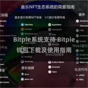 Bitpie系统支持 Bitpie钱包下载及使用指南