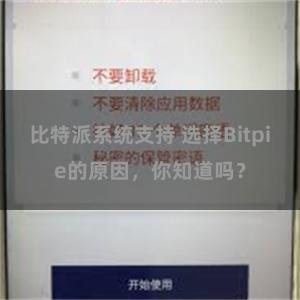 比特派系统支持 选择Bitpie的原因，你知道吗？