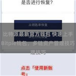 比特派最新官方钱包 快速上手Bitpie钱包，多链资产管理技