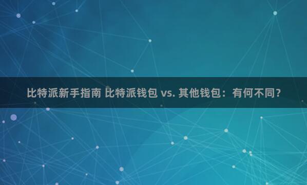 比特派新手指南 比特派钱包 vs. 其他钱包：有何不同？