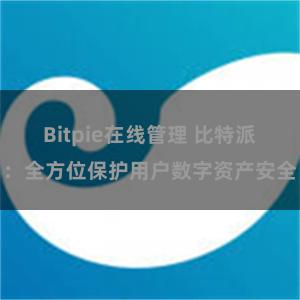 Bitpie在线管理 比特派：全方位保护用户数字资产安全