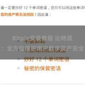 Bitpie安装教程 比特派：全方位保护用户数字资产安全