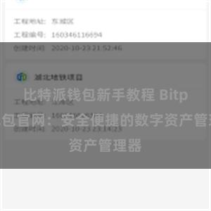 比特派钱包新手教程 Bitpie钱包官网：安全便捷的数字资产管理器
