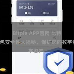Bitpie APP官网 比特派钱包安全性大揭秘，保护您的数