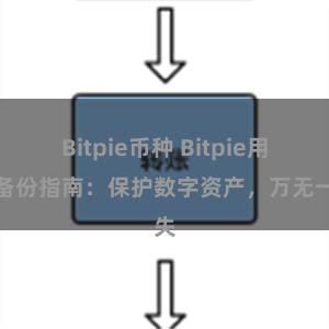 Bitpie币种 Bitpie用户备份指南：保护数字资产，万无一失