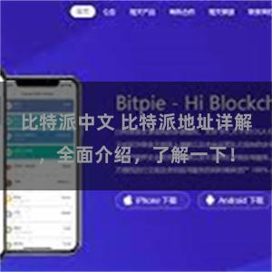 比特派中文 比特派地址详解，全面介绍，了解一下！