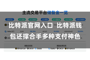 比特派官网入口  比特派钱包还撑合手多种支付神色