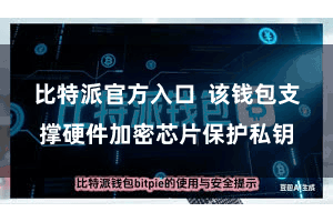 比特派官方入口  该钱包支撑硬件加密芯片保护私钥
