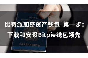 比特派加密资产钱包  第一步：下载和安设Bitpie钱包领先