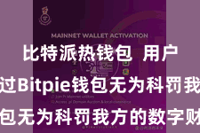 比特派热钱包  用户不错通过Bitpie钱包无为科罚我方的数字财富